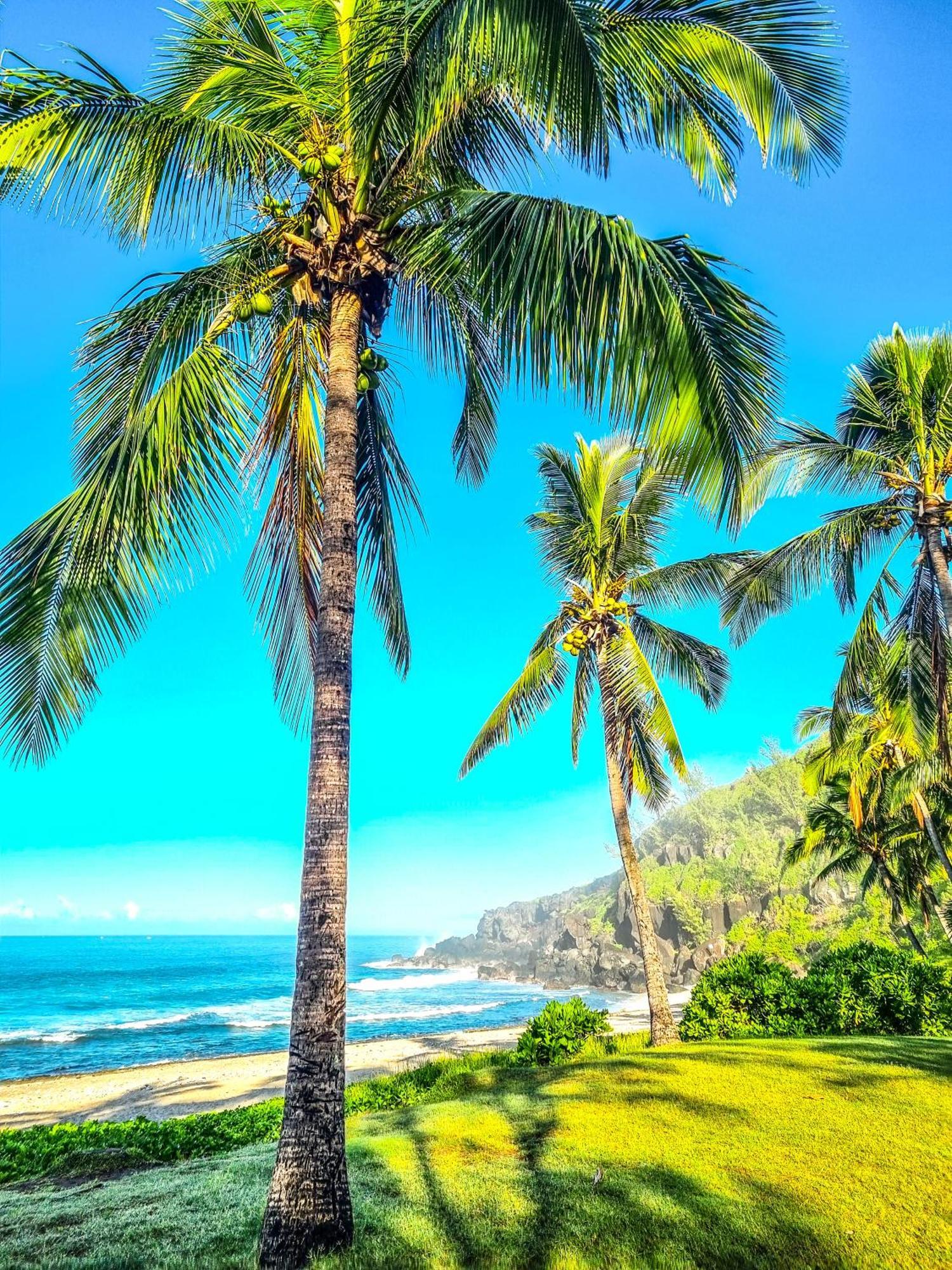 Maison D'Hotes Villa Des Mascareignes Petite Île エクステリア 写真