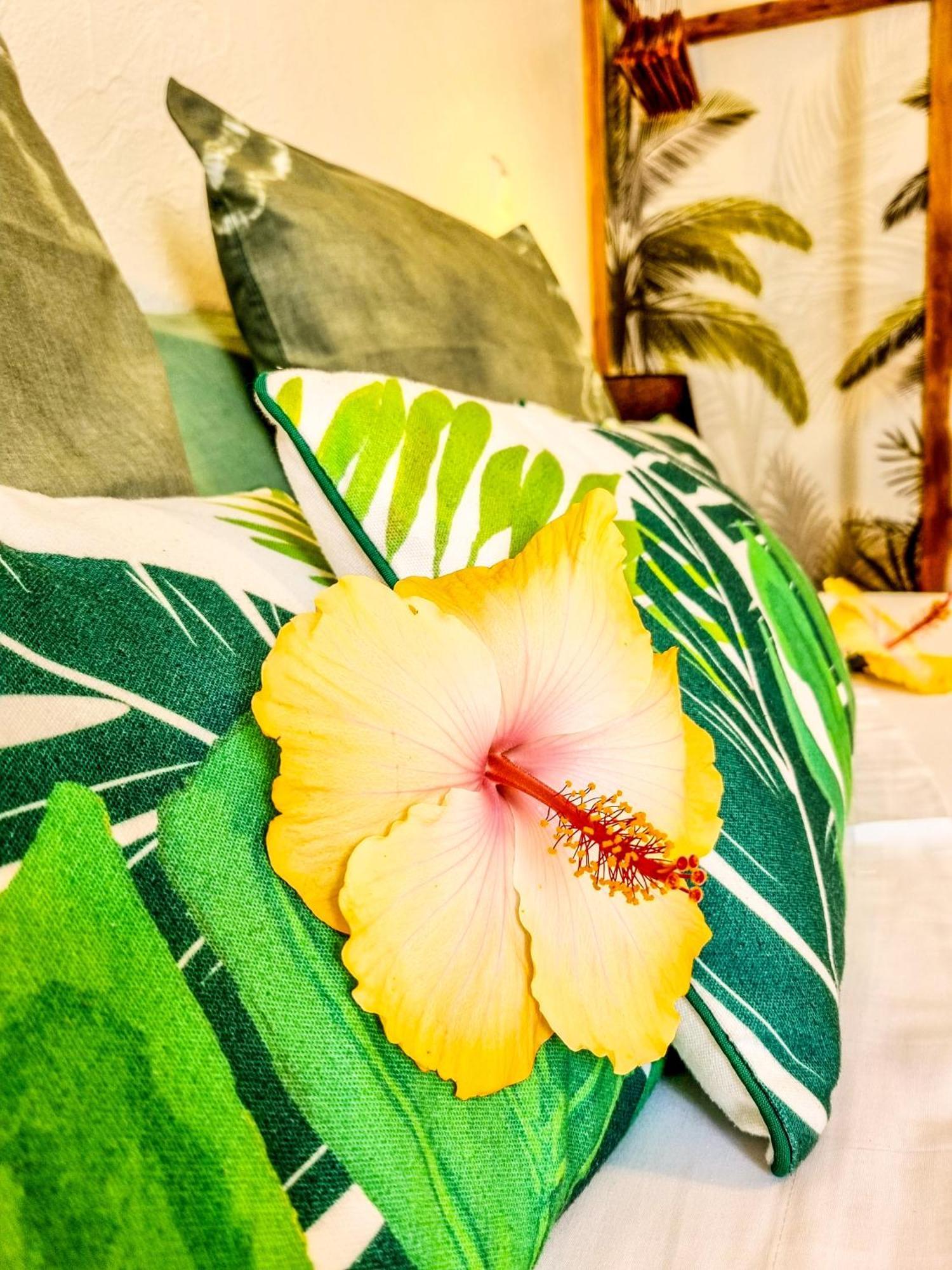 Maison D'Hotes Villa Des Mascareignes Petite Île エクステリア 写真